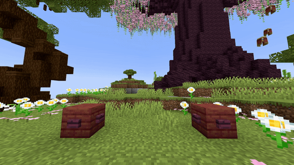 Particle Line Preview