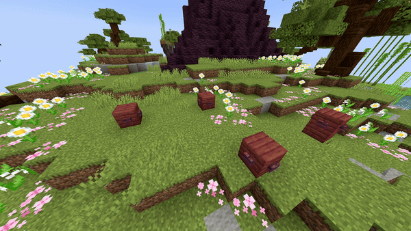 Particle Path Preview